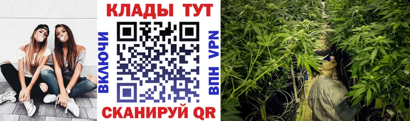 Виды наркотиков купить Искитим Канабис  А ПВП  ГЕРОИН  АМФЕТАМИН  Псилоцибиновые грибы  КЕТАМИН  Меф  Cocaine 