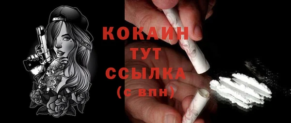 винт Протвино