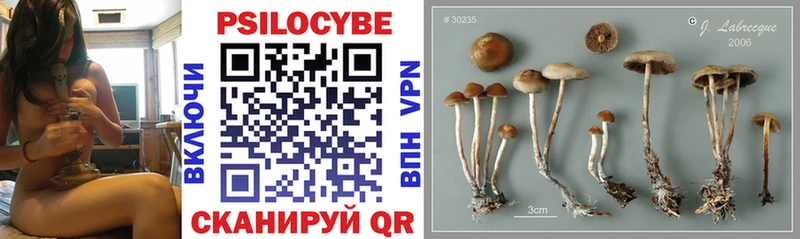 нарко площадка официальный сайт Искитим Галлюциногенные грибы Cubensis наркошоп